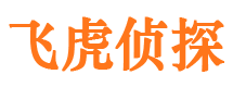 市中寻人公司